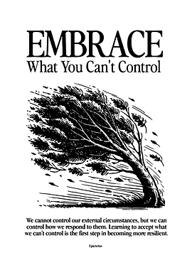 Embrace What You Can't Control