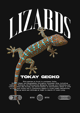 Tokay Gecko Lizard Owner Reptile Keeper