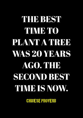 Plant a Tree: Chinese Proverb
