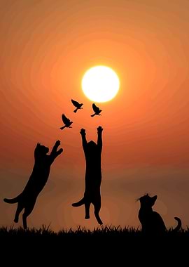 Cats and Birds at Sunset