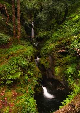 Glendalough waterfalls in lush green forest