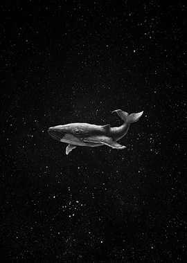 Whale in Space Black and White