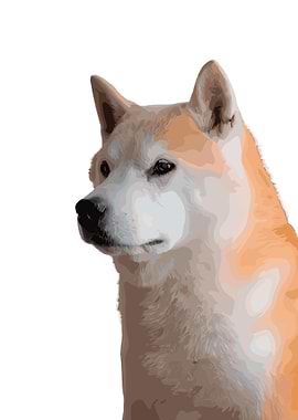 Shiba Inu Dog Face Portrait