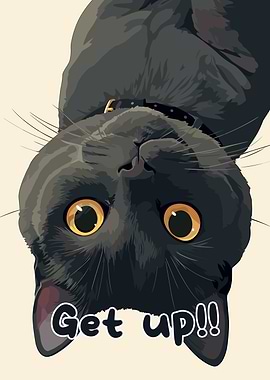 Upside-Down Cat with 'Get up!!' Text