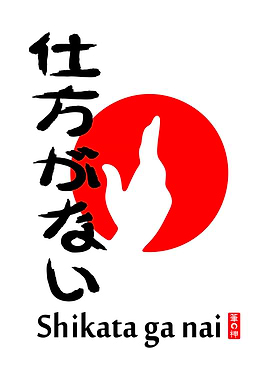 Shikata ga nai (仕方がない) – Acceptance Beyond Control