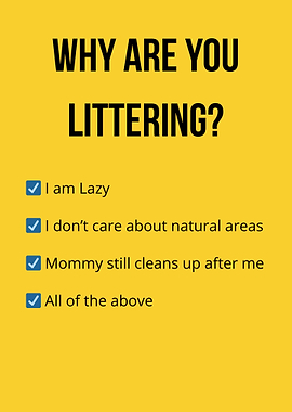 Why Are You Littering?