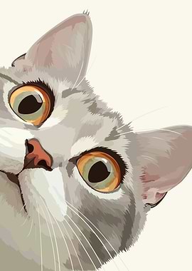 Close-up Gray Cat Portrait