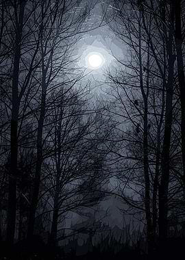 Moonlit Forest Silhouette