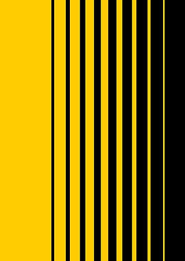 Yellow and Black Vertical Stripes