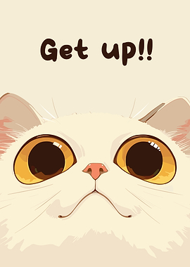 Get up Cat