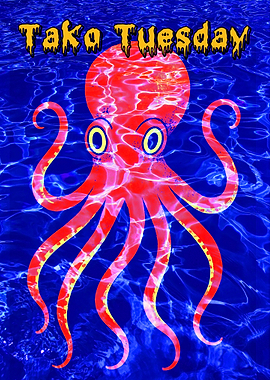 Tako Tuesday Octopus in Water