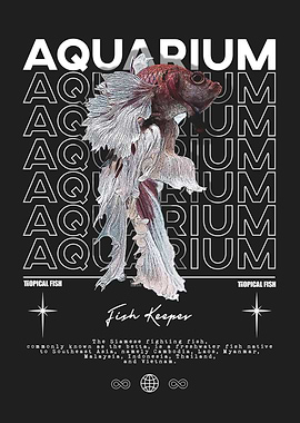 Betta Fish Aquarium Fish Keeper