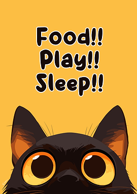 Food Play Sleep Black Cat