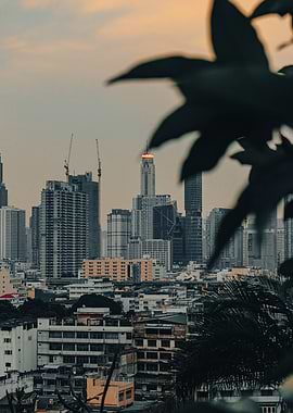 Cityscape at Dusk with Foliage Overlay