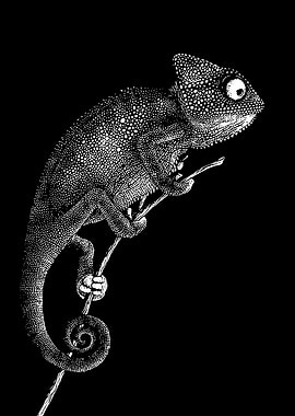 Chameleon on Branch - Black and White
