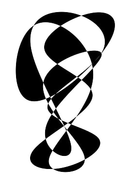 Abstract Black and White Curves