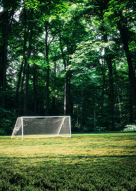 Soccer Goal in Forest Clearing