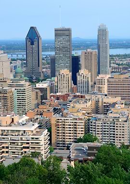 Montreal Cityscape