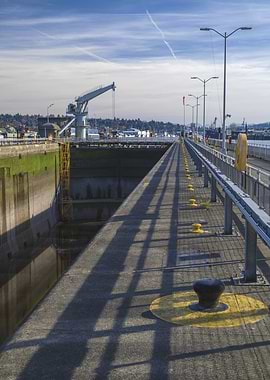 Drawn by Light and Shadow