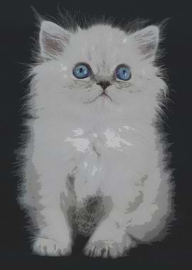 Cute White Kitten with Blue Eyes