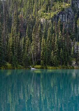 Emerald Lake Forest Reflection