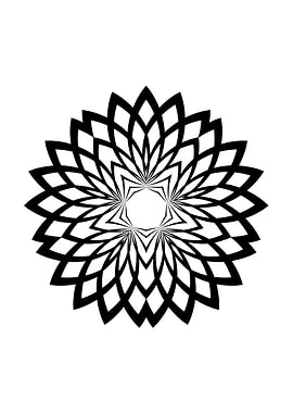 Black and White Geometric Floral