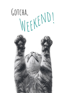 Cool Cat - Weekend