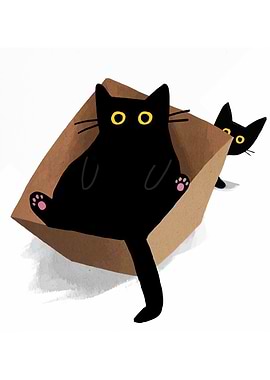 Black Cats in a Cardboard Box