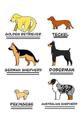 Dog Breeds Illustration