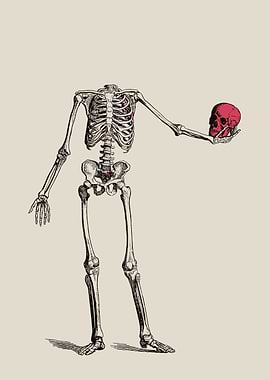 Skeleton Holding Skull Illustration