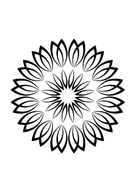 Black and White Floral