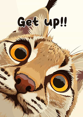 Get up Lynx