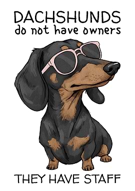 Dachshund Funny Meme Poster