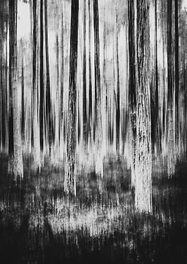 Abstract Black and White Forest