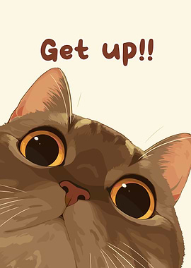 Get up Cat!