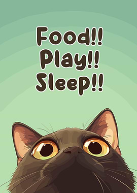 Cat's Priorities: Food, Play, Sleep
