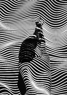 Abstract Black and White Body Art