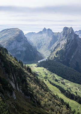 Mountain Valley Landscape