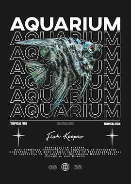 Angelfish Aquarium Fish Keeper