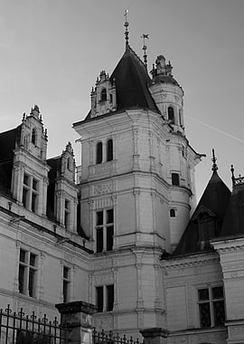 Black and White Castle Architecture