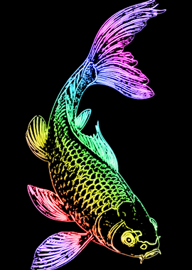 Rainbow Koi Fish on Black Background