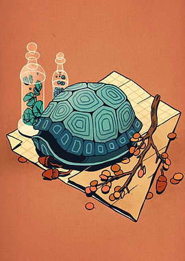 Turtle Shell Still Life Illustration