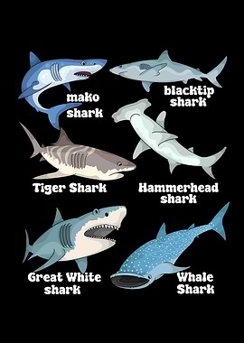 Shark Lover Kids White Shark Species Hammerhead Shark