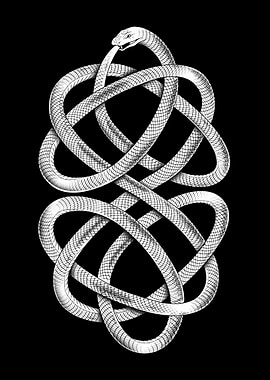 Ouroboros Knot