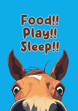 Food, Play, Sleep Horse Cartoon