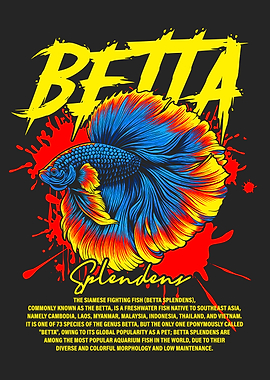 Betta Splendens Tropical Fish Keeper