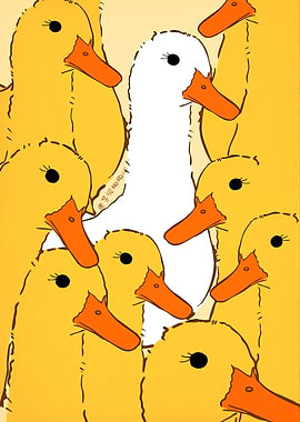 Yellow Ducks White Duck