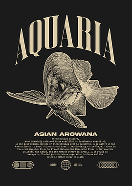 Arowana Fish Keeper