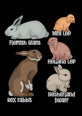 Rabbit Lover Kids Bunny Pet Boys Rabbit Species Rabbit