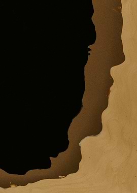 Abstract Earth Tones